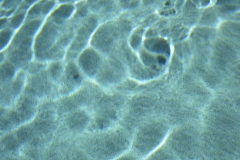 Pool-Project16